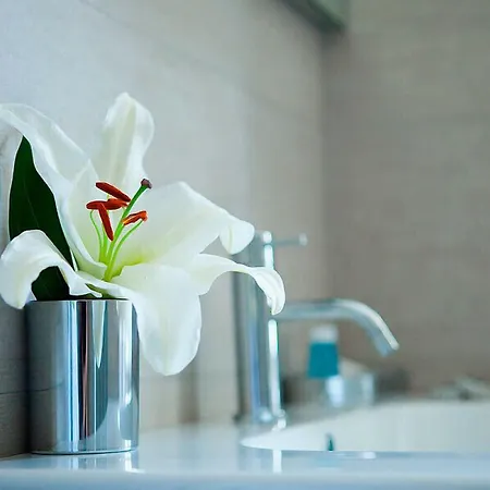 Melody Pensión Roma